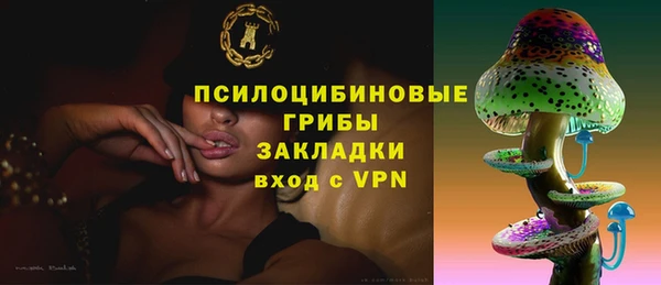 spice Балахна