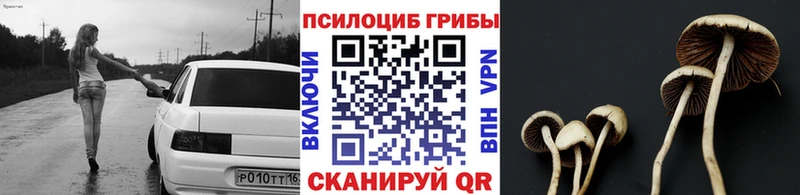 shop формула  Бор  Галлюциногенные грибы Cubensis 